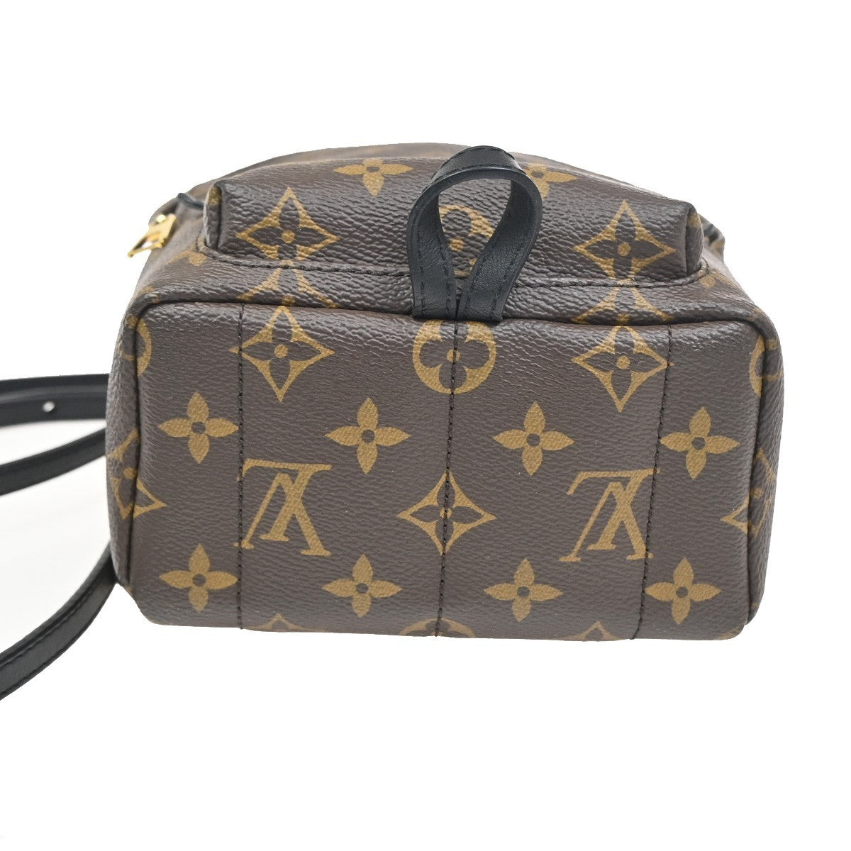 LOUIS VUITTON Palm Spring PM Backpack Bag Monogram Leather Brown M41560 27ZA122