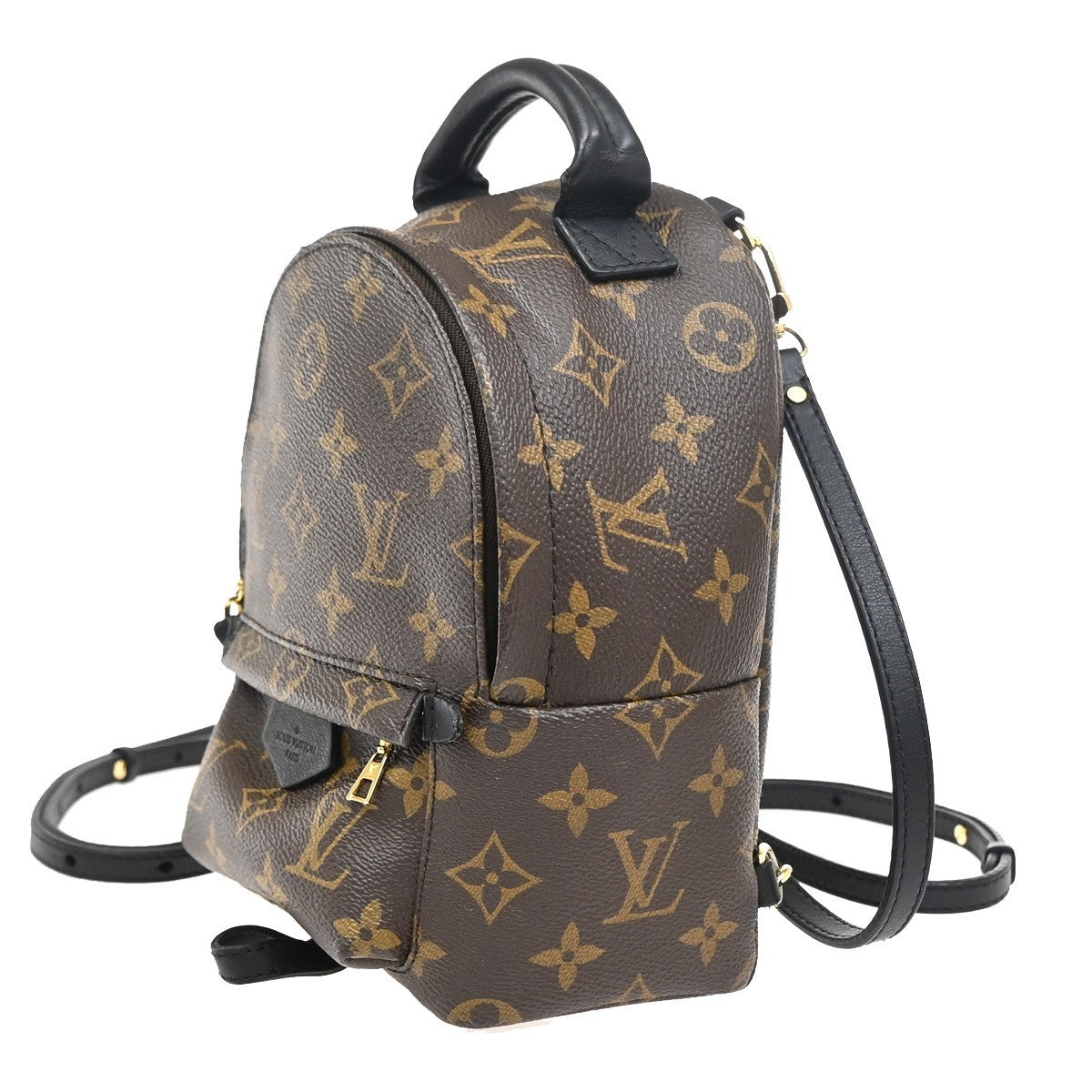 LOUIS VUITTON Palm Spring PM Backpack Bag Monogram Leather Brown M41560 27ZA122