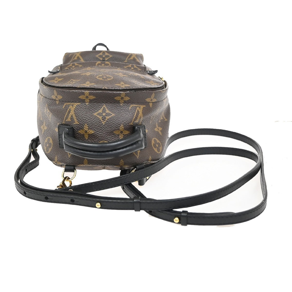 LOUIS VUITTON Palm Spring PM Backpack Bag Monogram Leather Brown M41560 27ZA122
