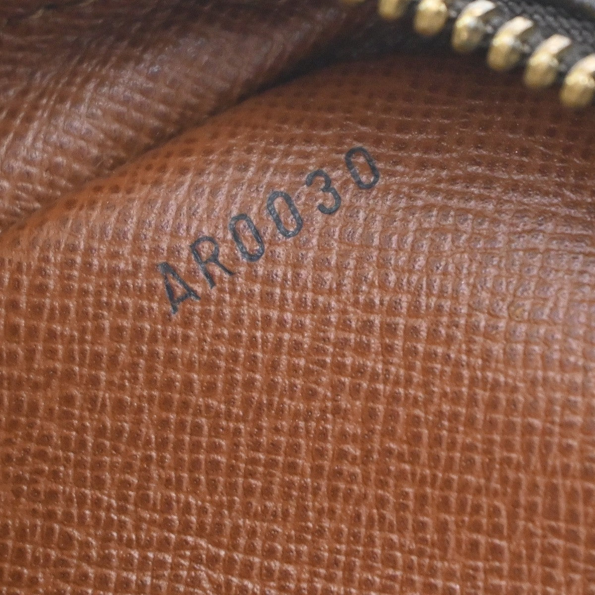 LOUIS VUITTON Danube Shoulder Bag Monogram Leather Brown France M45266 88YJ229