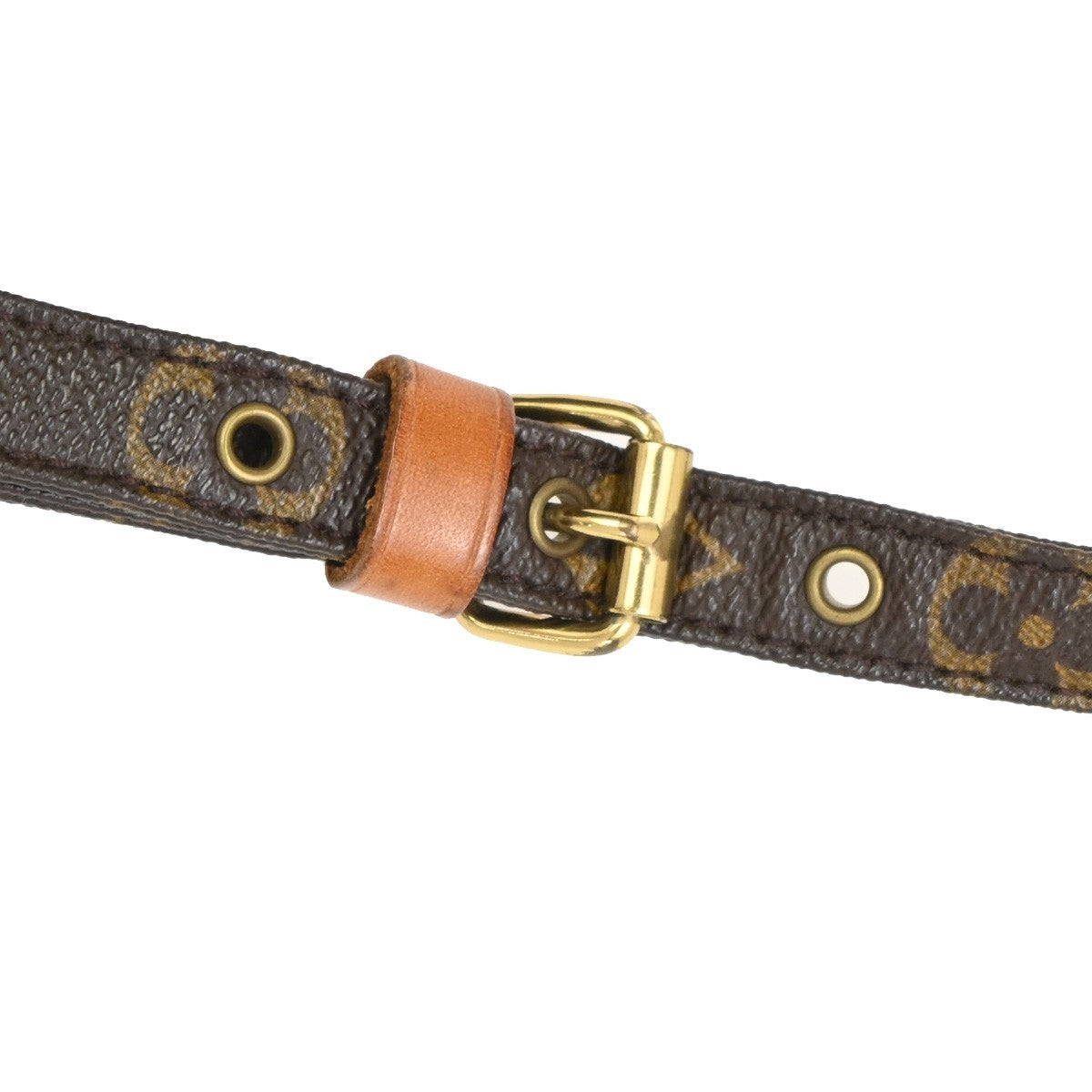 LOUIS VUITTON Amazon Crossbody Shoulder Bag Monogram Leather BN M45236 16TA640
