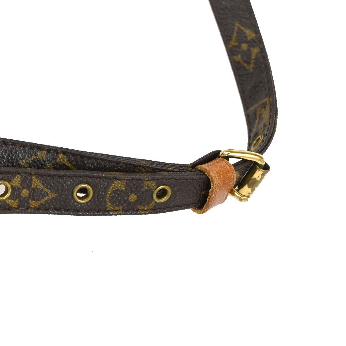 LOUIS VUITTON Amazon Crossbody Shoulder Bag Monogram Leather BN M45236 84TA642
