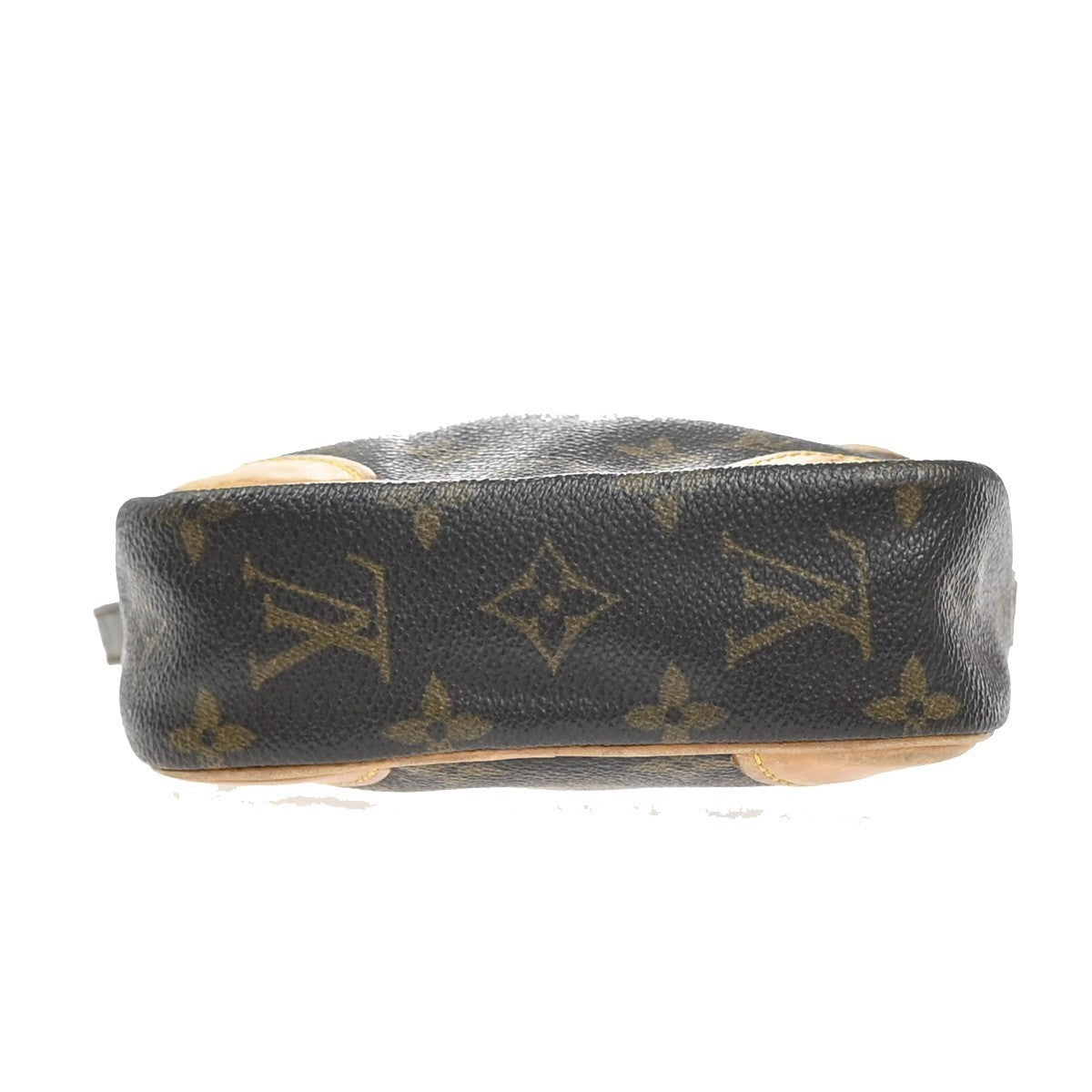 LOUIS VUITTON Danube Shoulder Bag Monogram Leather Brown France M45266 31EG344