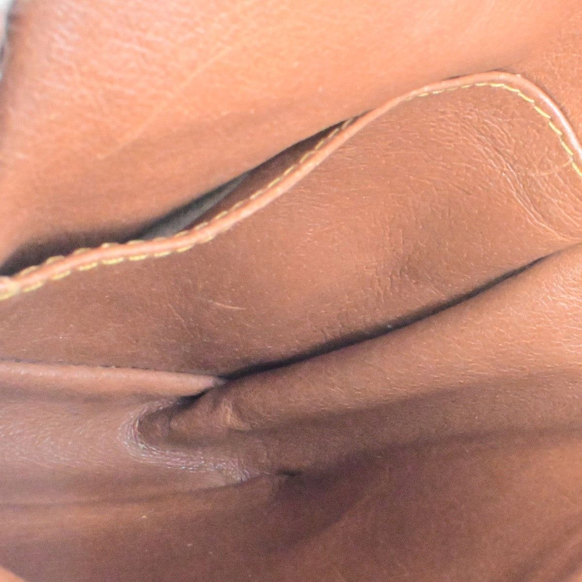 LOUIS VUITTON Mini Amazon Shoulder Bag Monogram Leather Brown M45238 04YH106