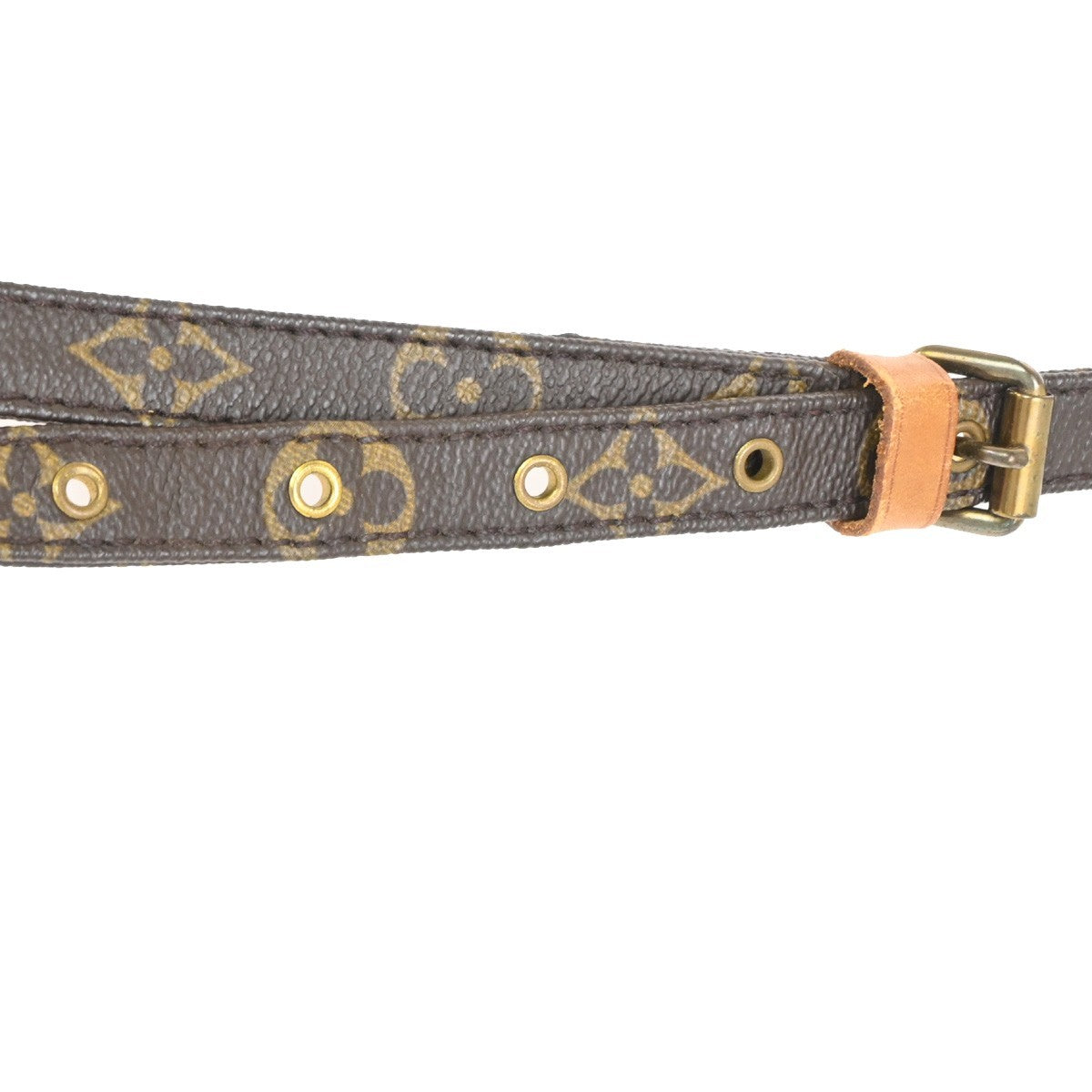 LOUIS VUITTON Amazon Crossbody Shoulder Bag Monogram Leather BN M45236 84TA648