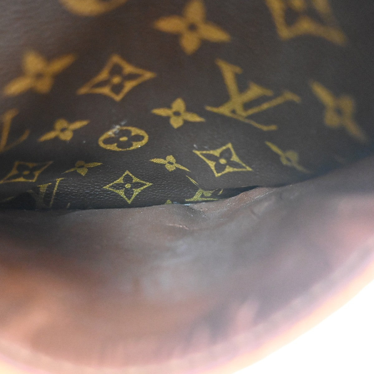 LOUIS VUITTON Danube Shoulder Bag Monogram Leather Brown France M45266 82TA712