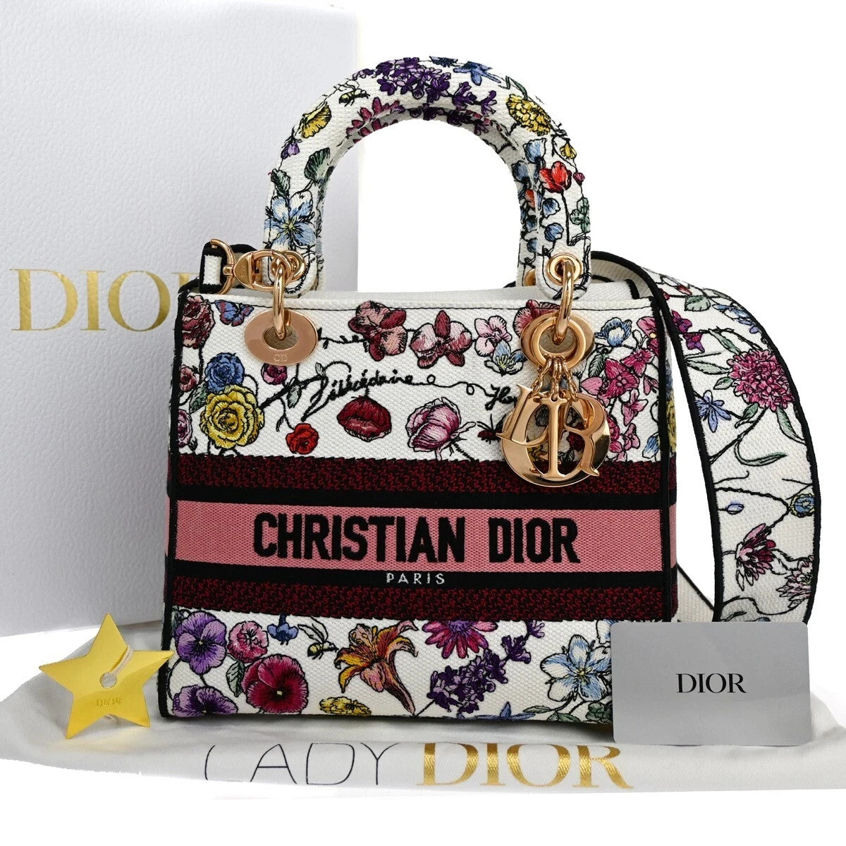 48CHRISTIAN DIOR Lady D-Lite Florilegio Embroidery 2Way Hand Bag Canvas 782LC456
