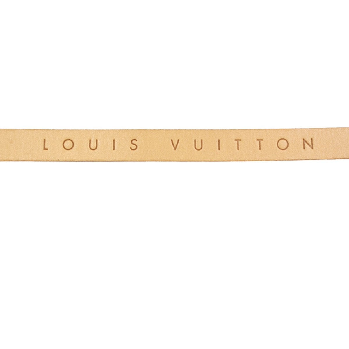 LOUIS VUITTON Pochette Florentine XS Bum Bag Monogram Leather BN M51855 88CA821