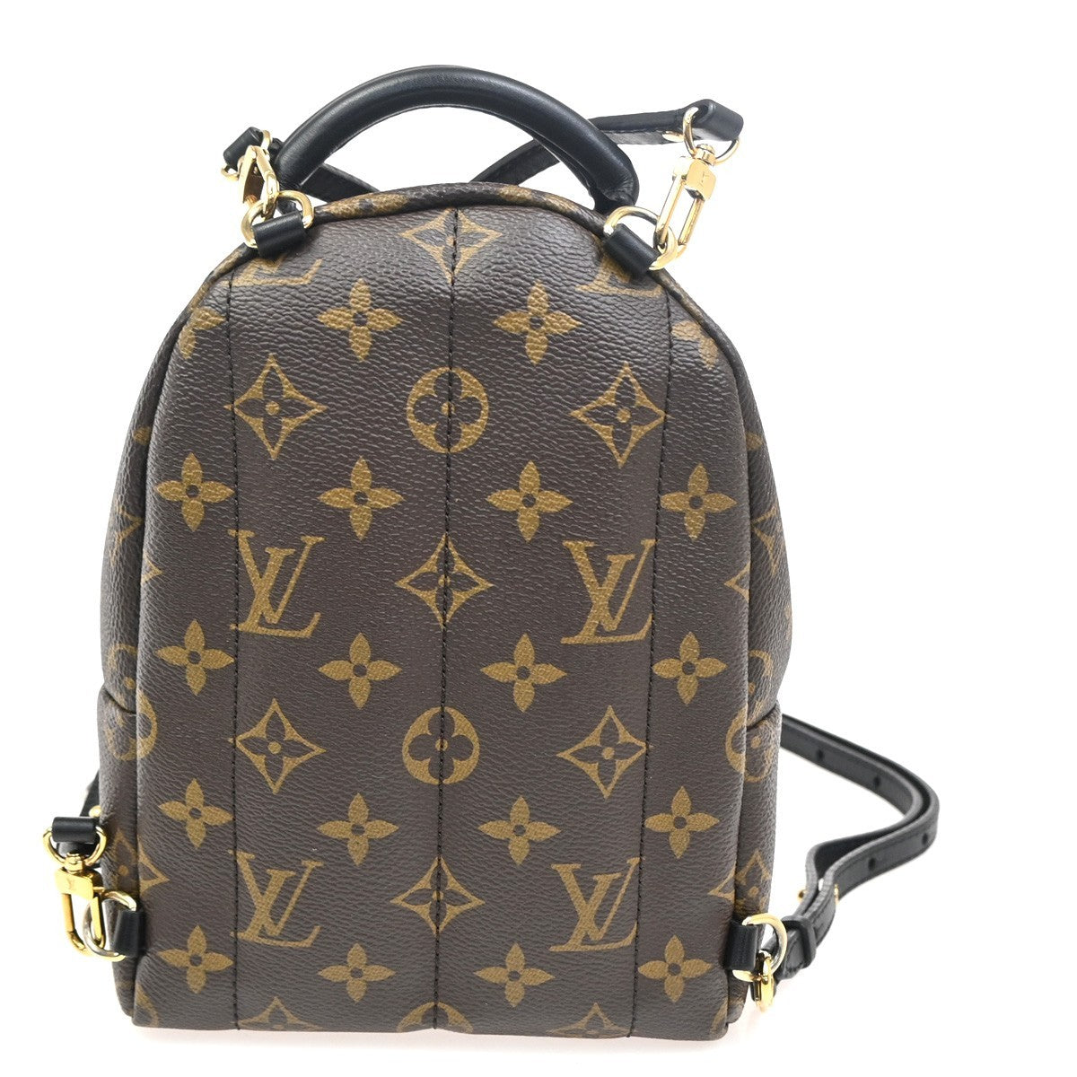 LOUIS VUITTON Palm Spring PM Backpack Bag Monogram Leather Brown M41560 27ZA122