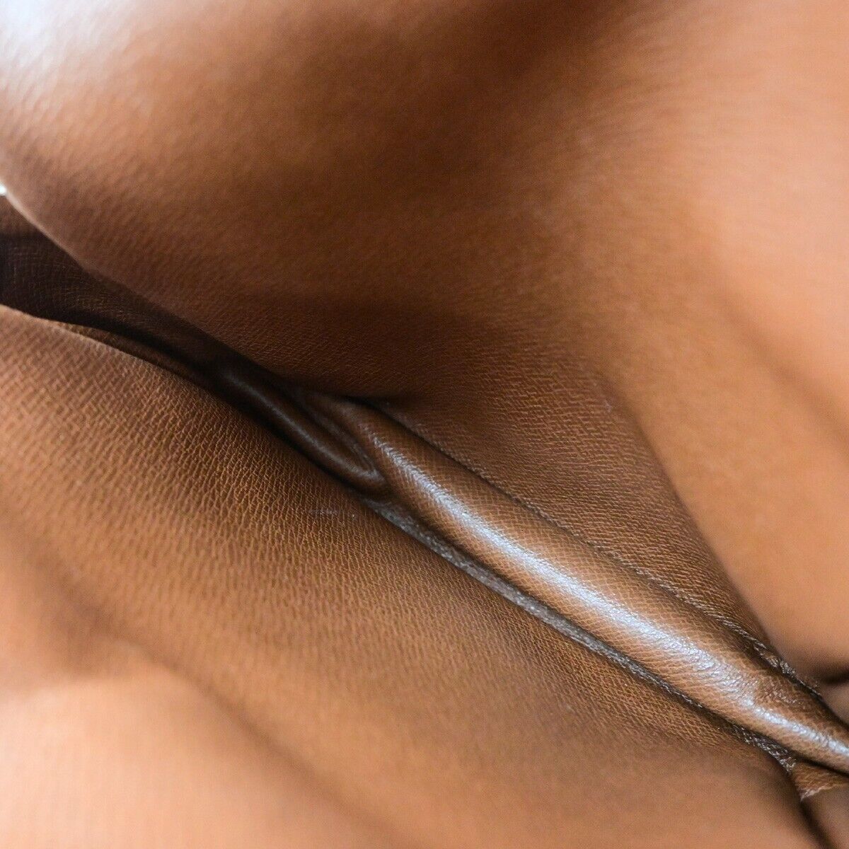 LOUIS VUITTON Mini Amazon Shoulder Bag Monogram Leather Brown M45238 85ED866