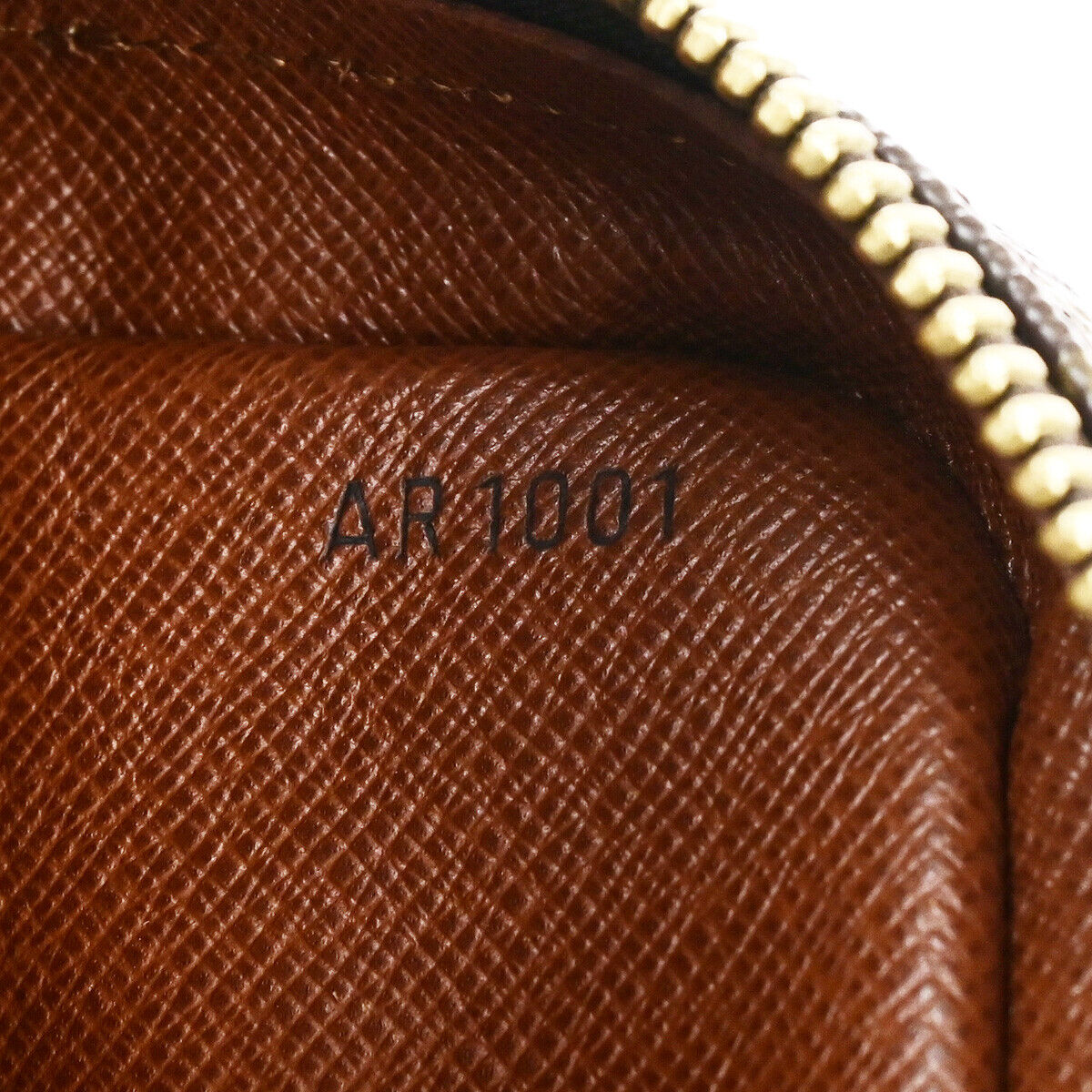 LOUIS VUITTON Danube Shoulder Bag Monogram Leather Brown France M45266 85RF202