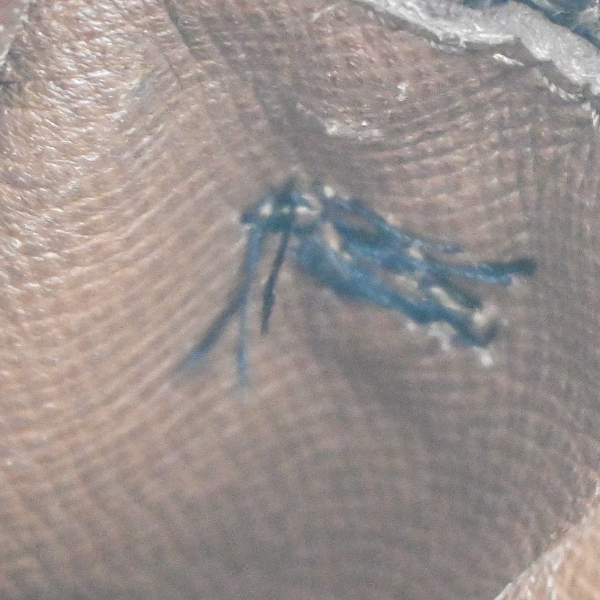 LOUIS VUITTON 2 Set Amazon Danube Shoulder Bag Monogram Leather BN 60KP199