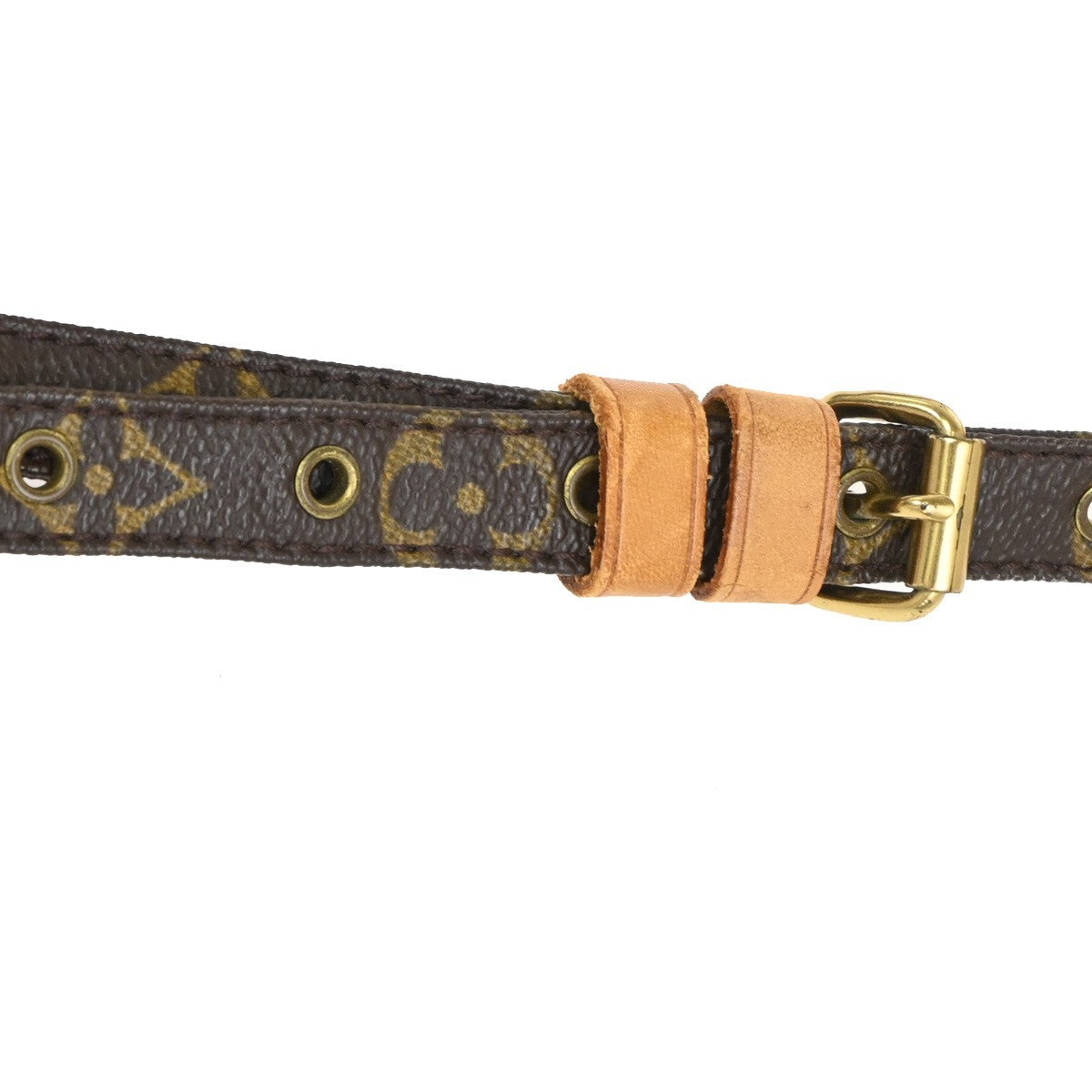 LOUIS VUITTON Amazon Crossbody Shoulder Bag Monogram Leather BN M45236 77TA641