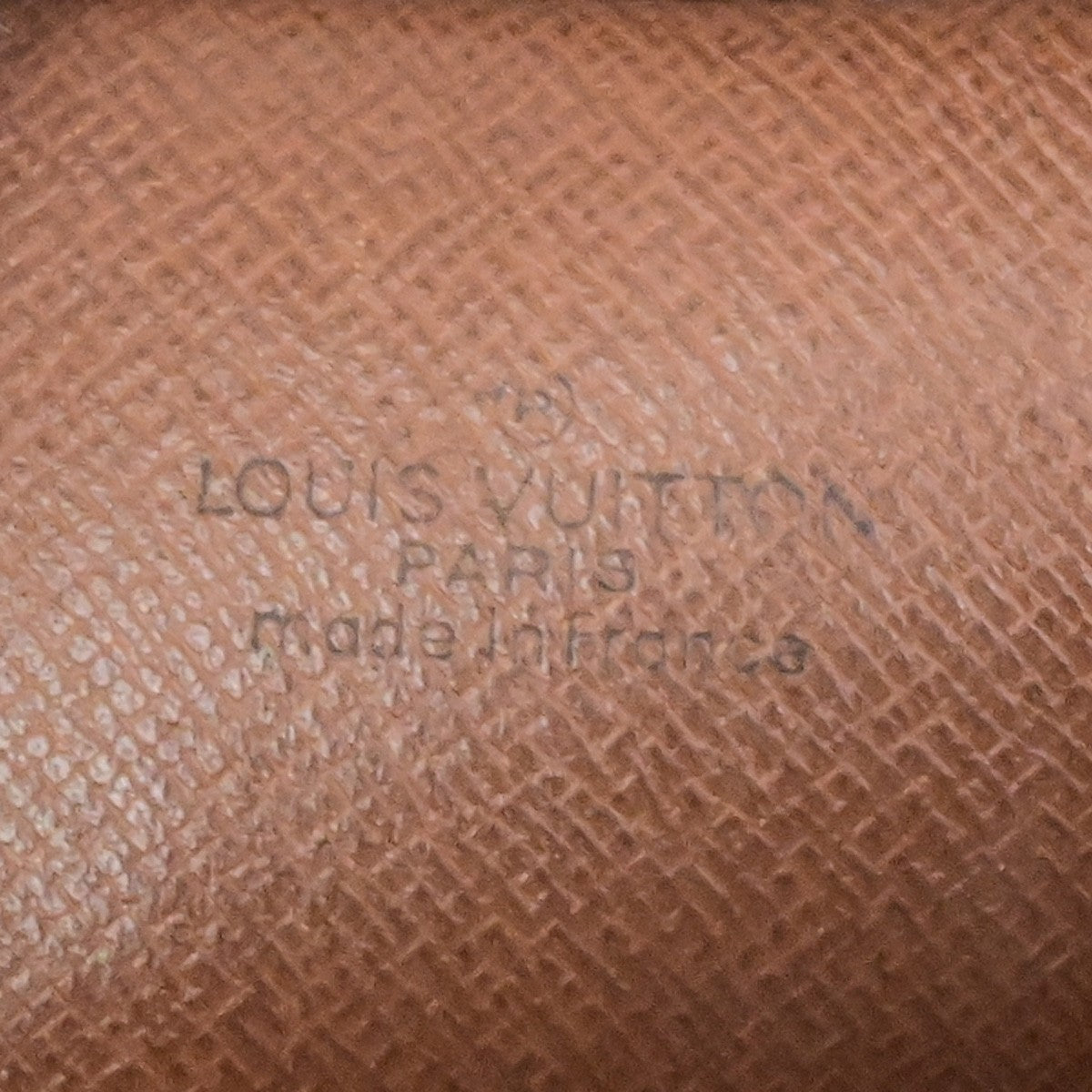 LOUIS VUITTON Mini Amazon Shoulder Bag Monogram Leather Brown M45238 32YH048